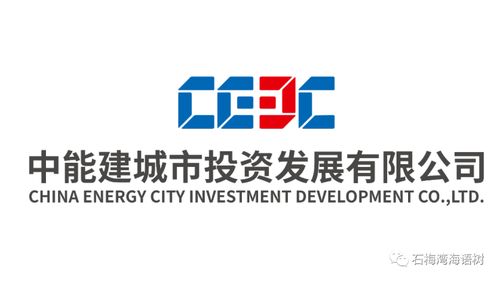 實力央企匠筑自貿港離岸資產 官方售樓處與企業管理咨詢的融合之道