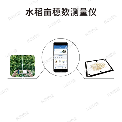 水稻畝穗數測量系統