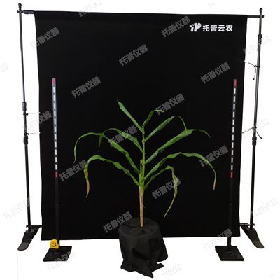 玉米株型分析系統