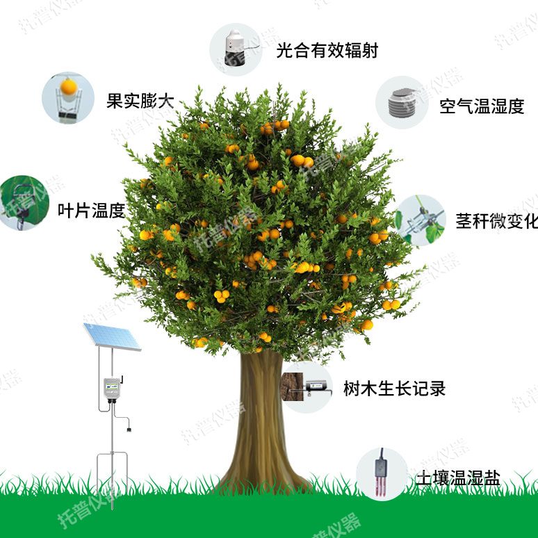 植物生理生態監測系統