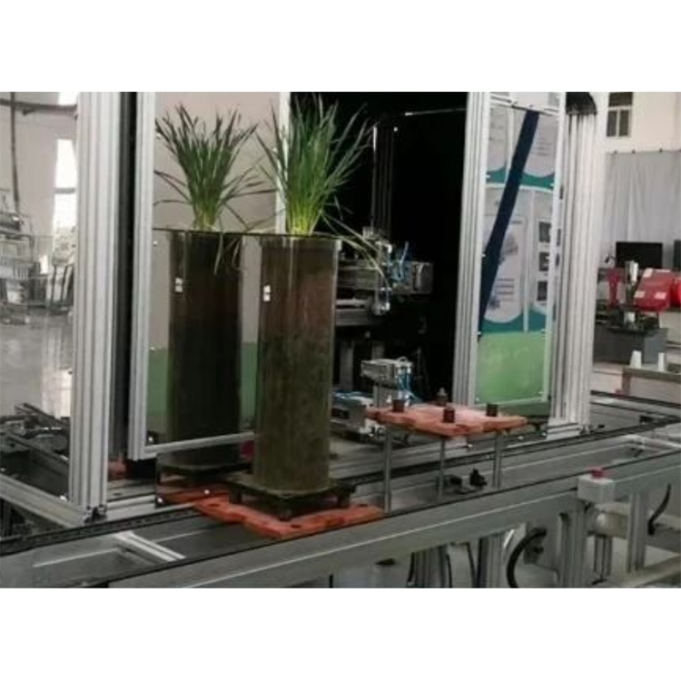 高通量植物根系表型采集分析系統（根筒式）